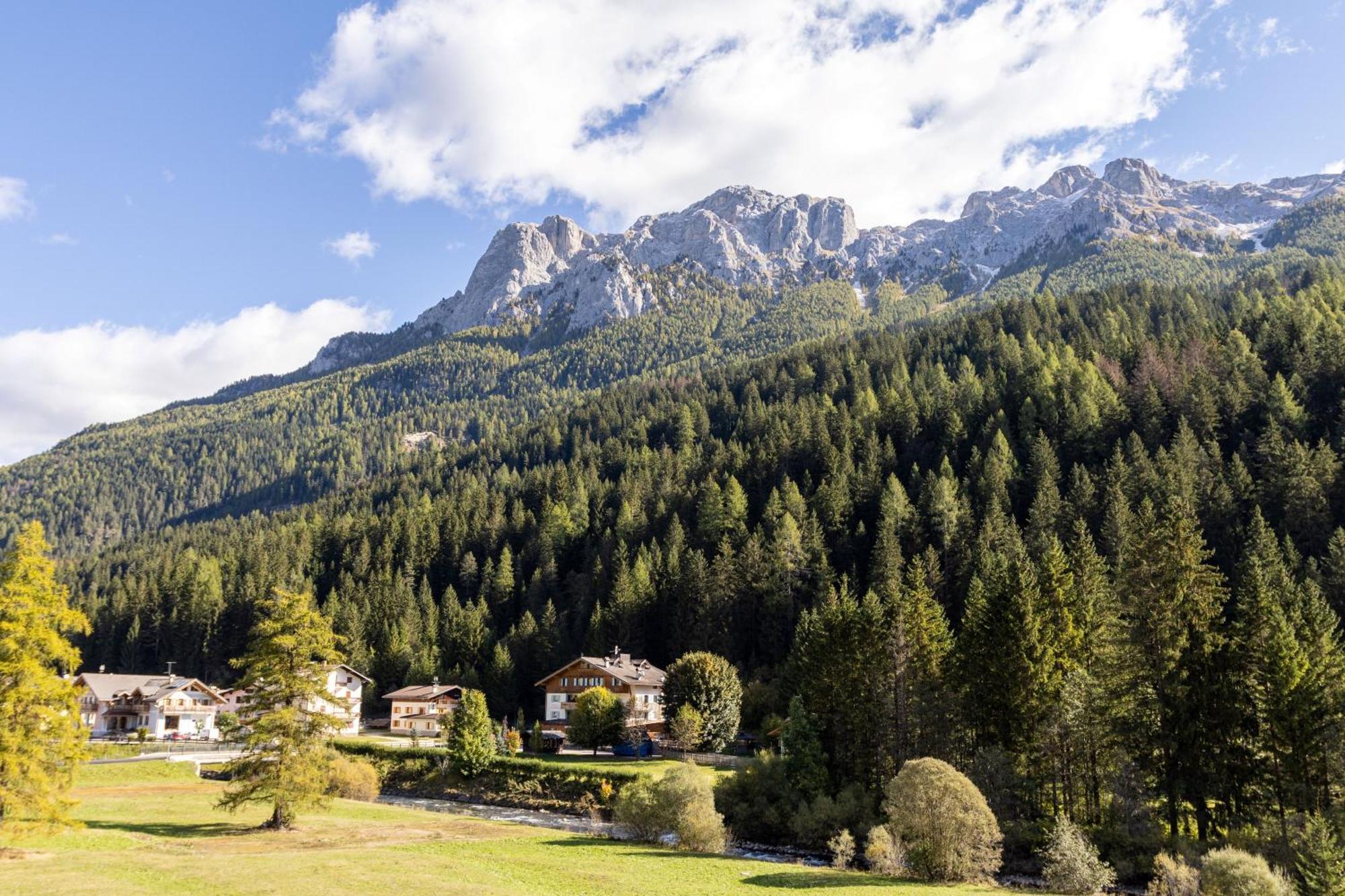 Wellness Hotel Dolomia Soraga Bagian luar foto