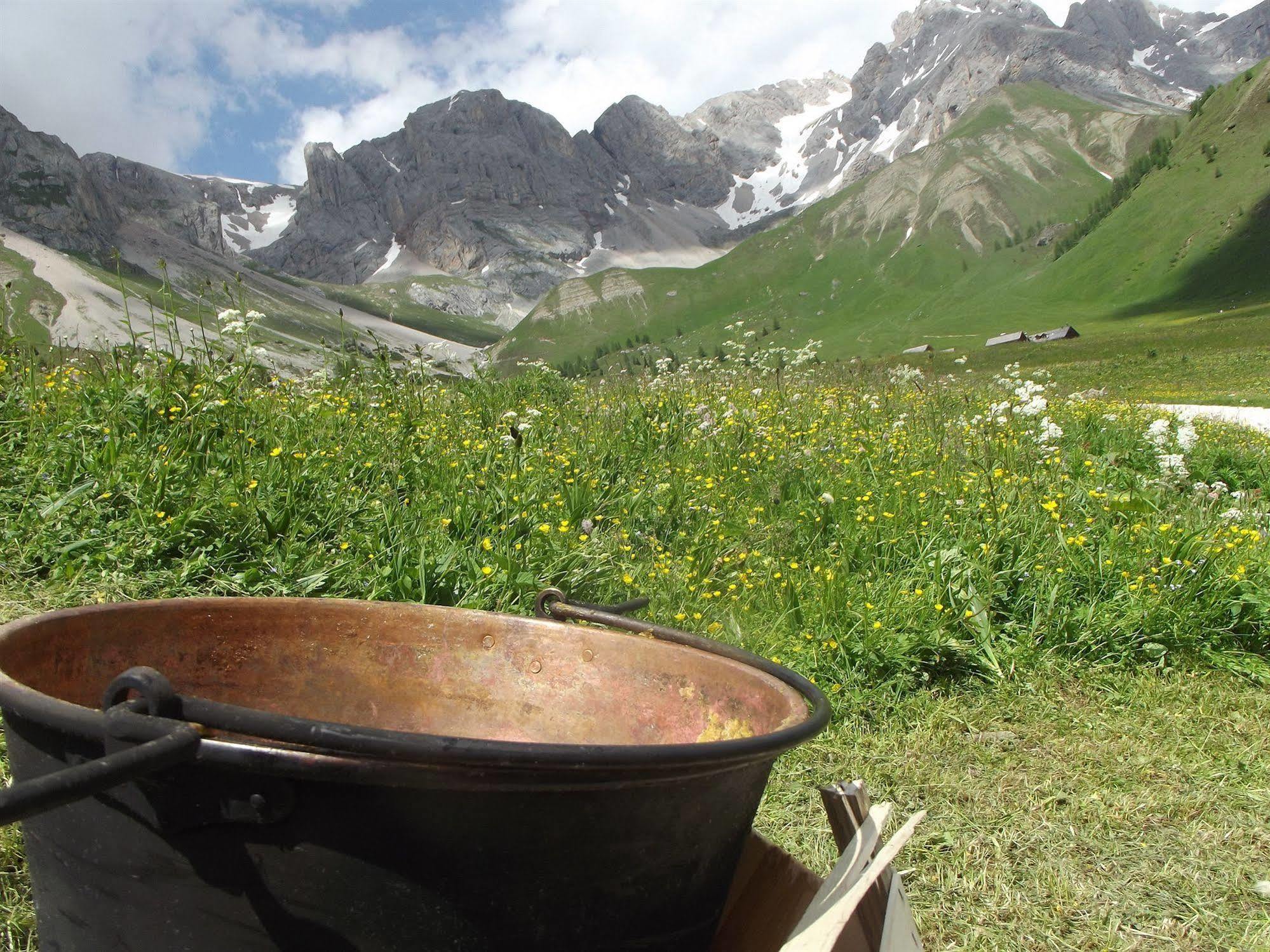 Wellness Hotel Dolomia Soraga Bagian luar foto